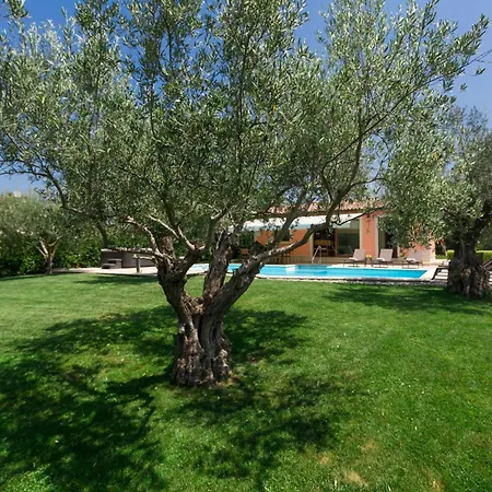 Ulika Holiday home